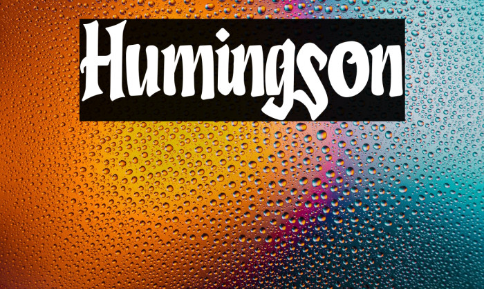 Humingson Example 2