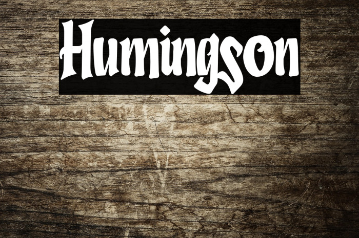 Humingson Example 3
