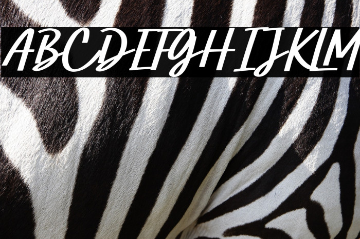 Hummer Miller Demo Example 1