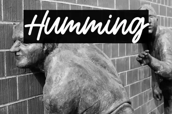 Humming Font examples