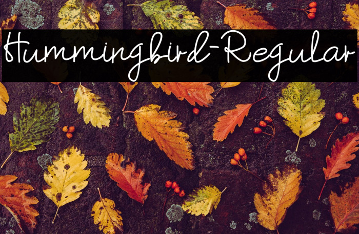 Hummingbird-Regular Example 1