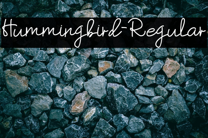 Hummingbird-Regular Example 2