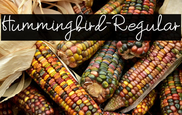 Hummingbird-Regular Example 3