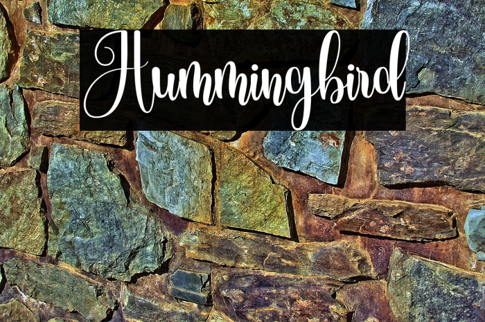 Hummingbird Example 1