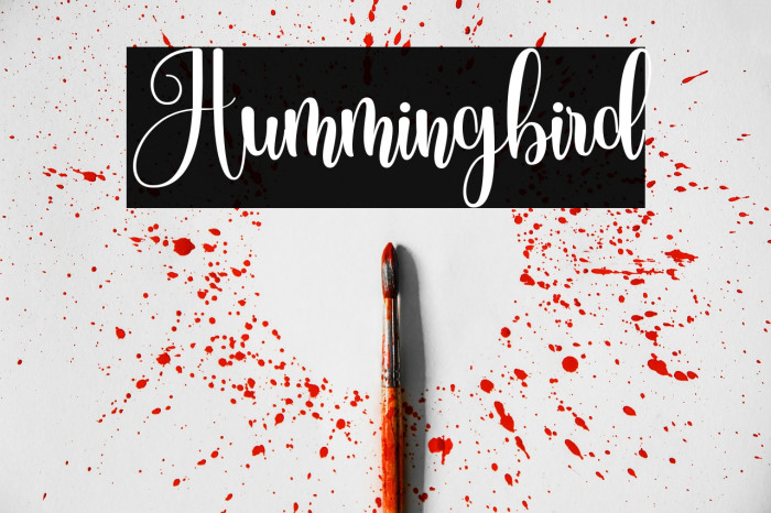 Hummingbird Example 3