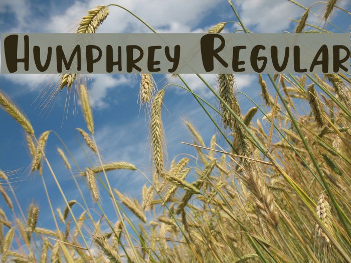 Humphrey Regular Font examples