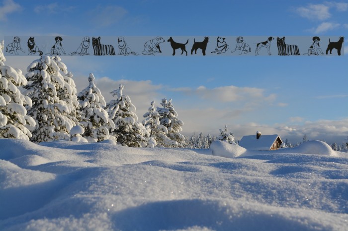 HundeDogsChiens Example 1