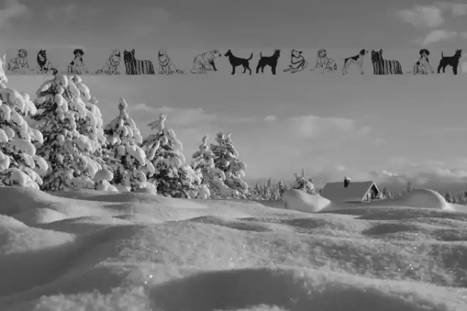 HundeDogsChiens Font examples