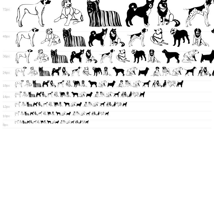 HundeDogsChiens Waterfall