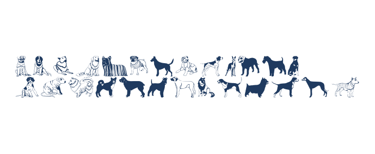 HundeDogsChiens Lowercase