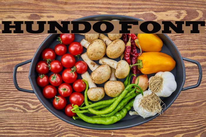 Hundo Font examples