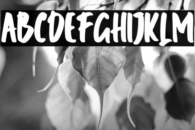 Hundre Caratteri examples