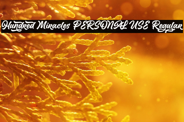 Hundred Miracles PERSONAL USE Regular Example 3