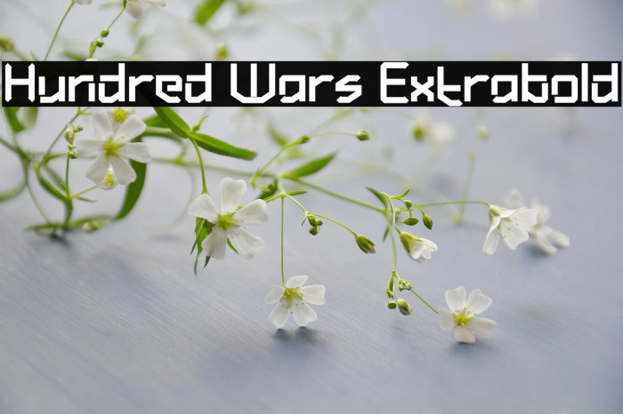 Hundred Wars Extrabold Example 2