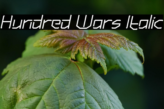 Hundred Wars Italic Example 2