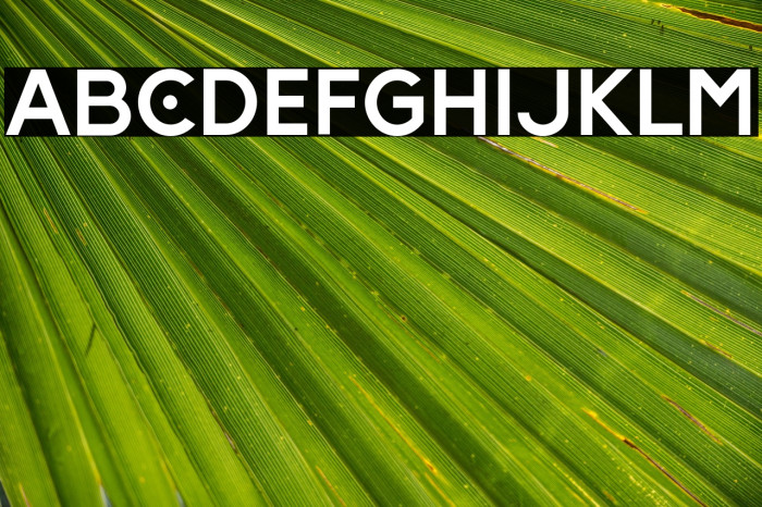 HundredLigattureRegular Example 2