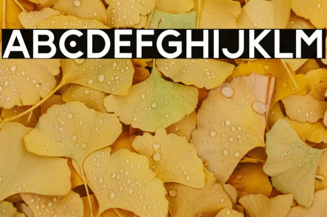 HundredLigattureRegular Example 3