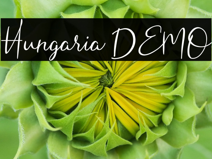 Hungaria DEMO Example 1