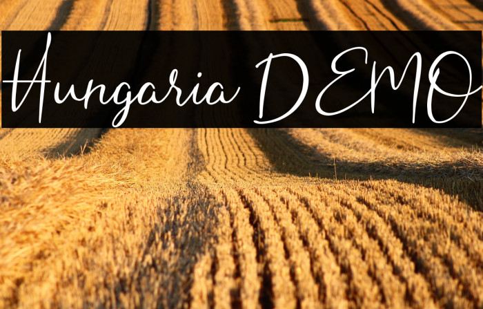Hungaria DEMO Example 2