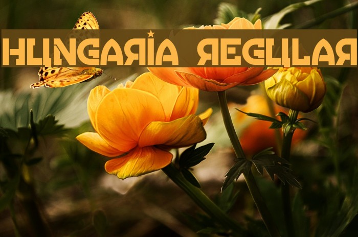 Hungaria Regular Font examples