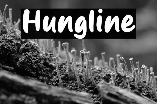 Hungline Font examples