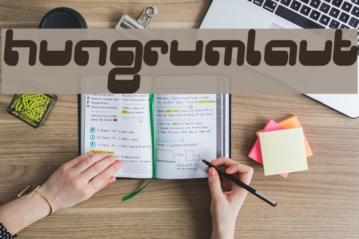 Hungrumlaut Font examples