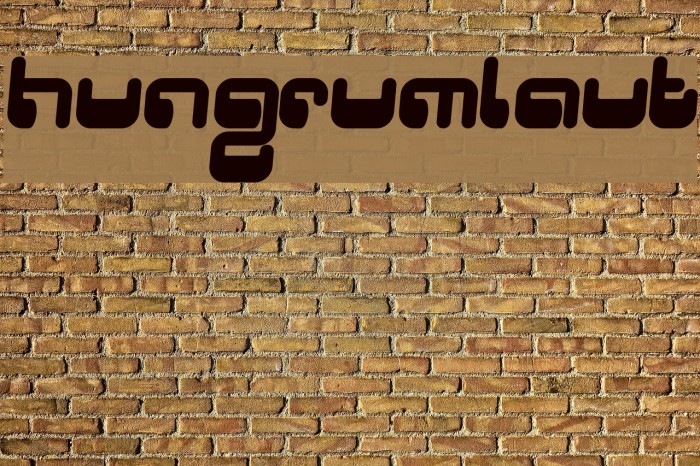 Hungrumlaut Font examples