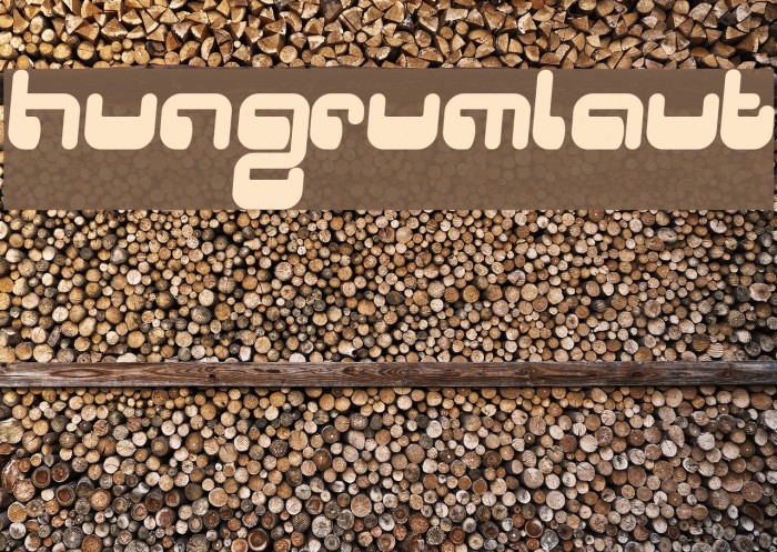 Hungrumlaut Font examples