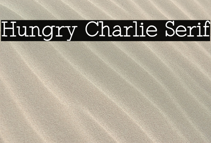 Hungry Charlie Serif Example 1