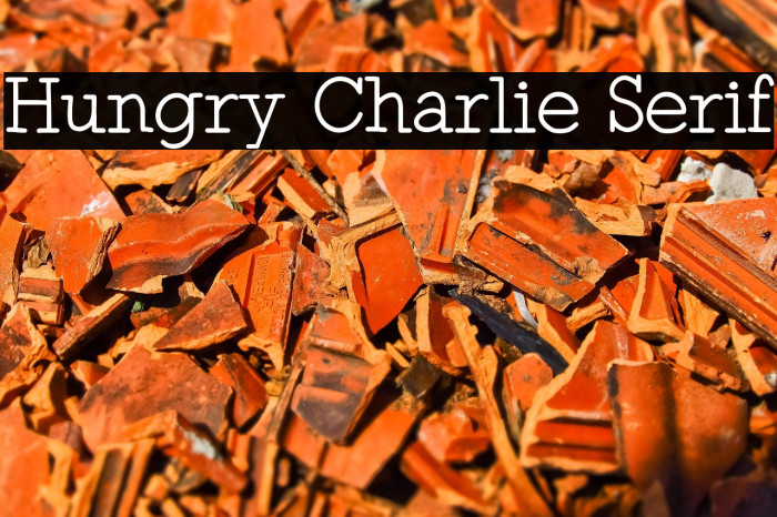 Hungry Charlie Serif Example 2