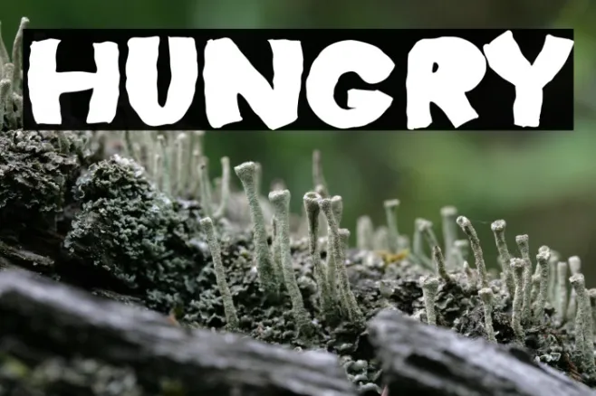 Hungry Example 3