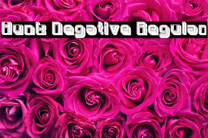 Hunk Negative Regular Example 3