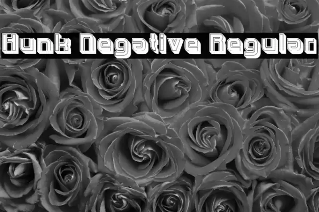 Hunk Negative Regular Font examples