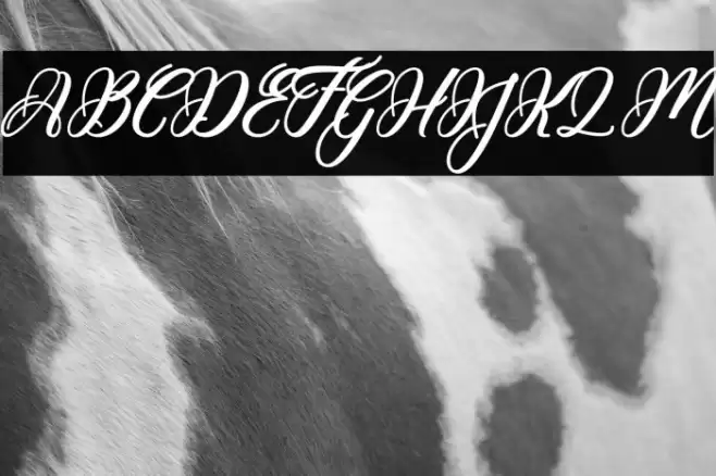 Hunkydory Font examples