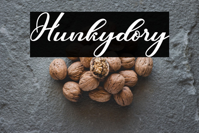 Hunkydory Example 1