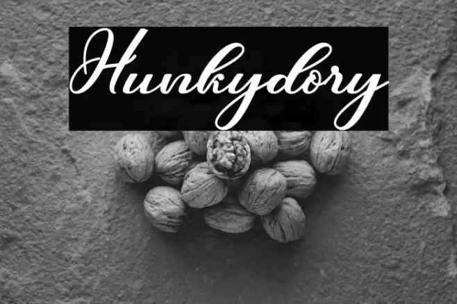 Hunkydory Font examples