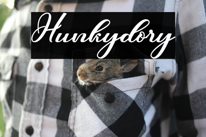 Hunkydory Example 3