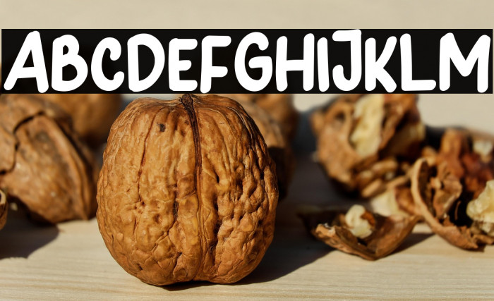 Hunny Bummy Example 2