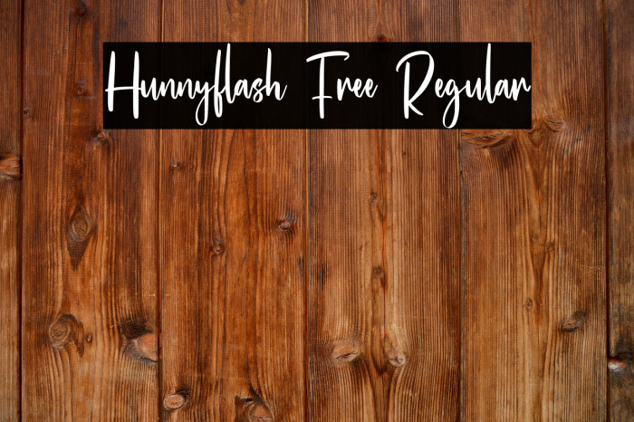 Hunnyflash Free Regular Example 1