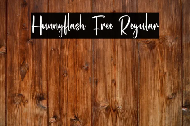 Hunnyflash Free Regular Example 1