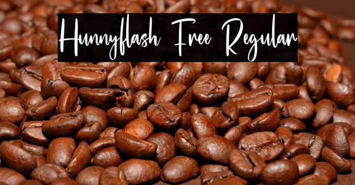 Hunnyflash Free Regular Example 2