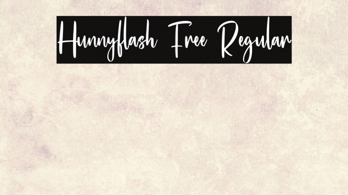 Hunnyflash Free Regular Example 3