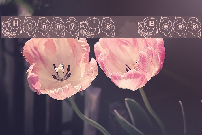 Hunny's Bees Font examples