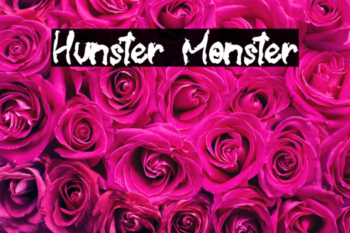 Hunster Monster Example 3