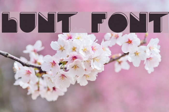 Hunt Font examples