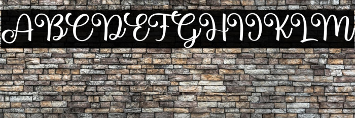 Hunter Bee Example 1