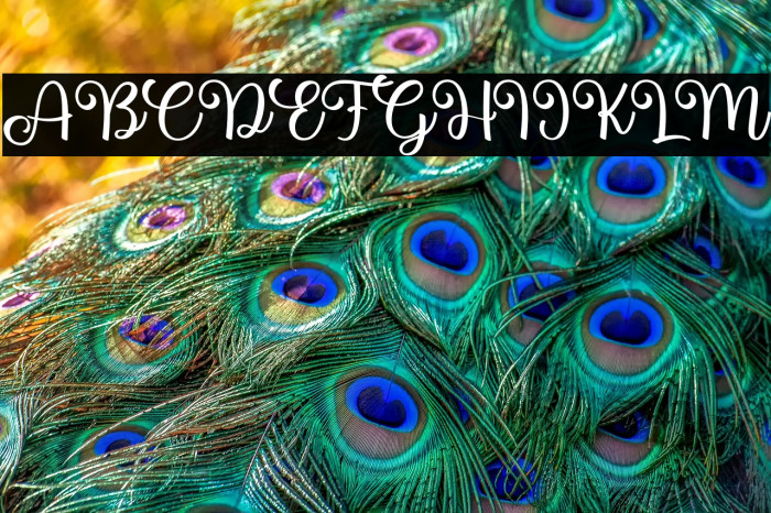 Hunter Bee Example 2