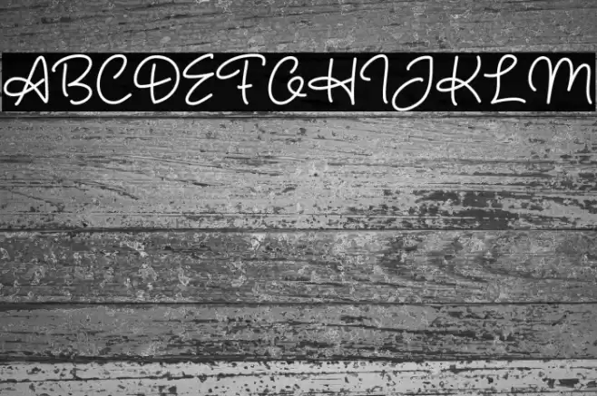 Hunter Script Font examples