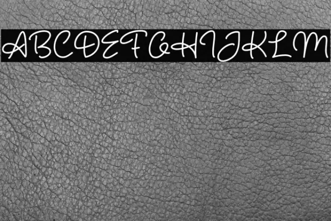 Hunter Script Font examples