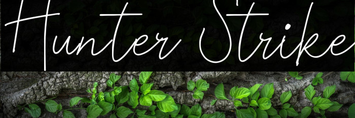Hunter Strike Example 1
